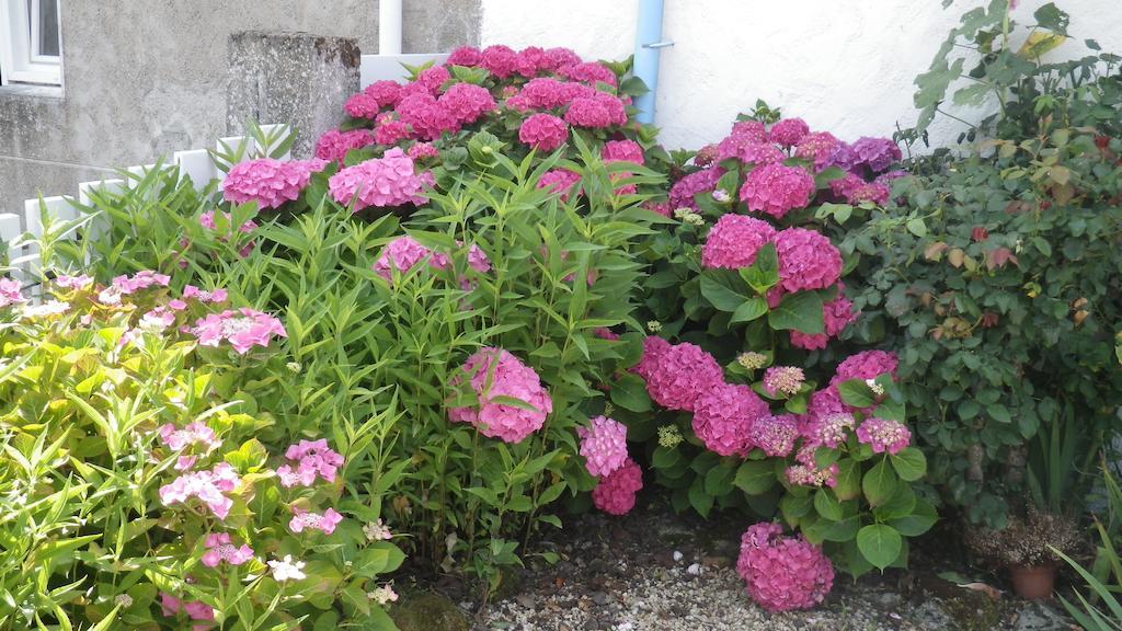 La Musardise Bed & Breakfast Guérande Exterior foto