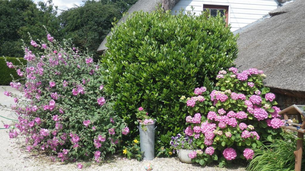La Musardise Bed & Breakfast Guérande Exterior foto